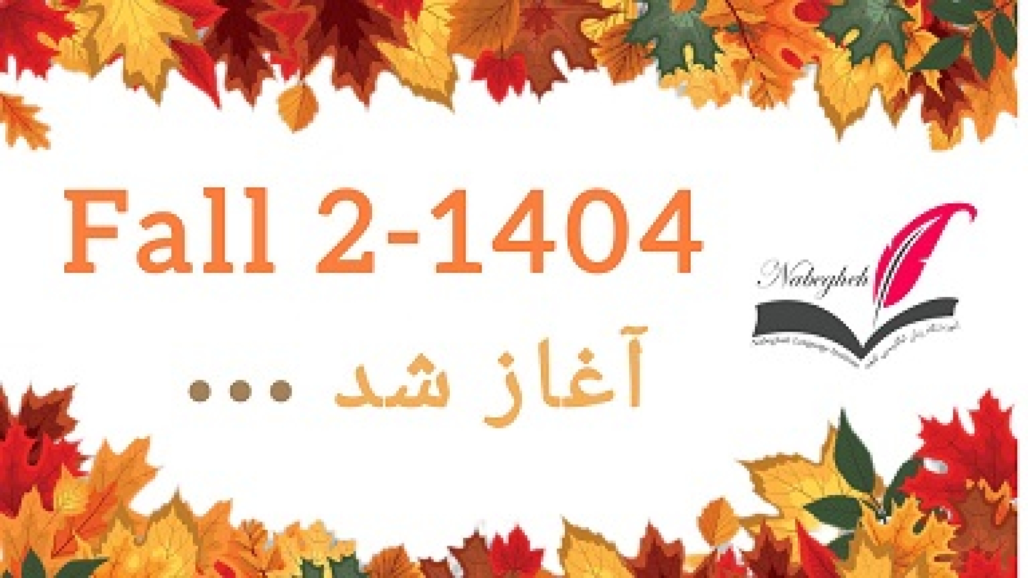 InShot_20251103_171254999