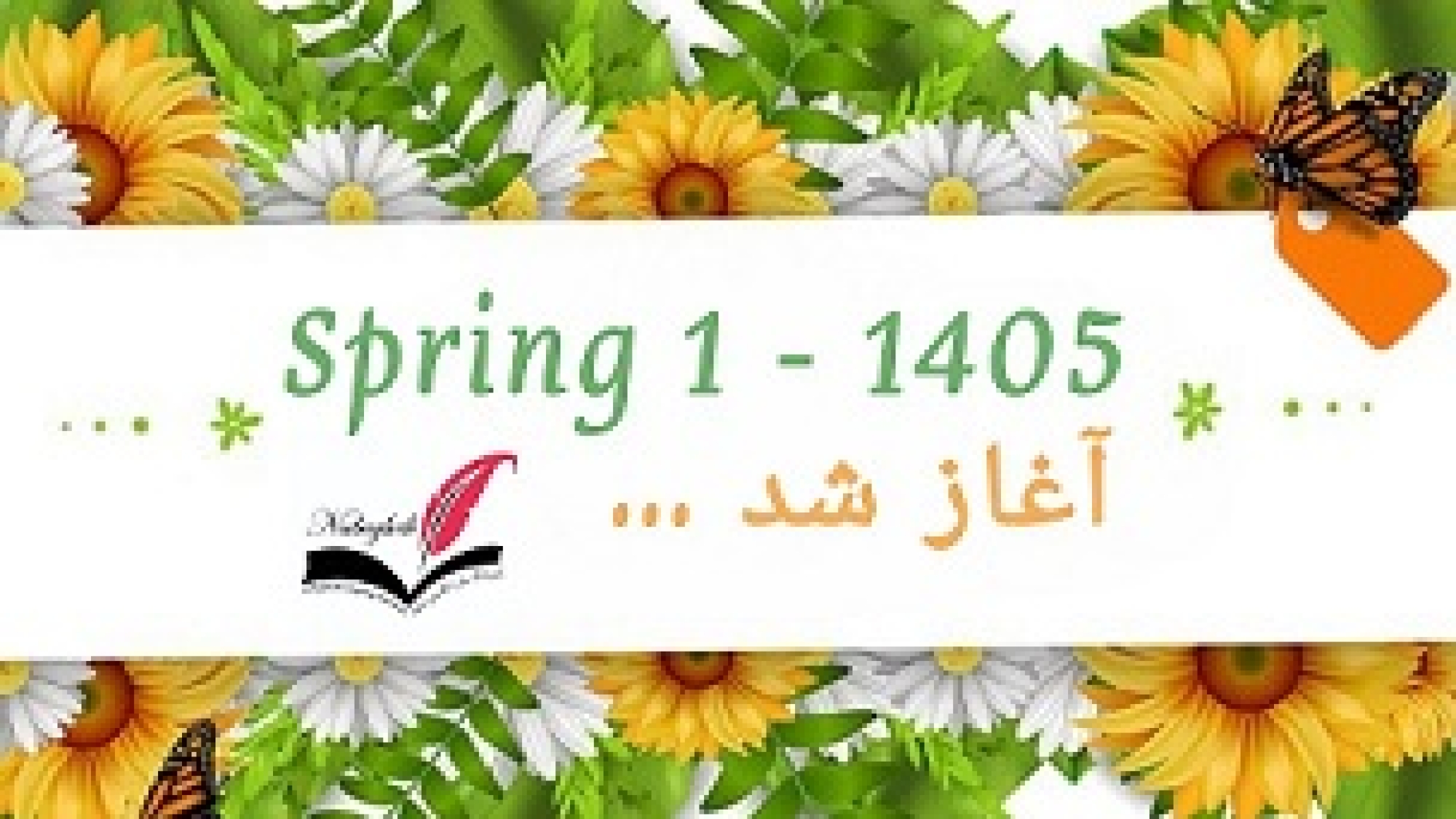 InShot_20260217_172746948